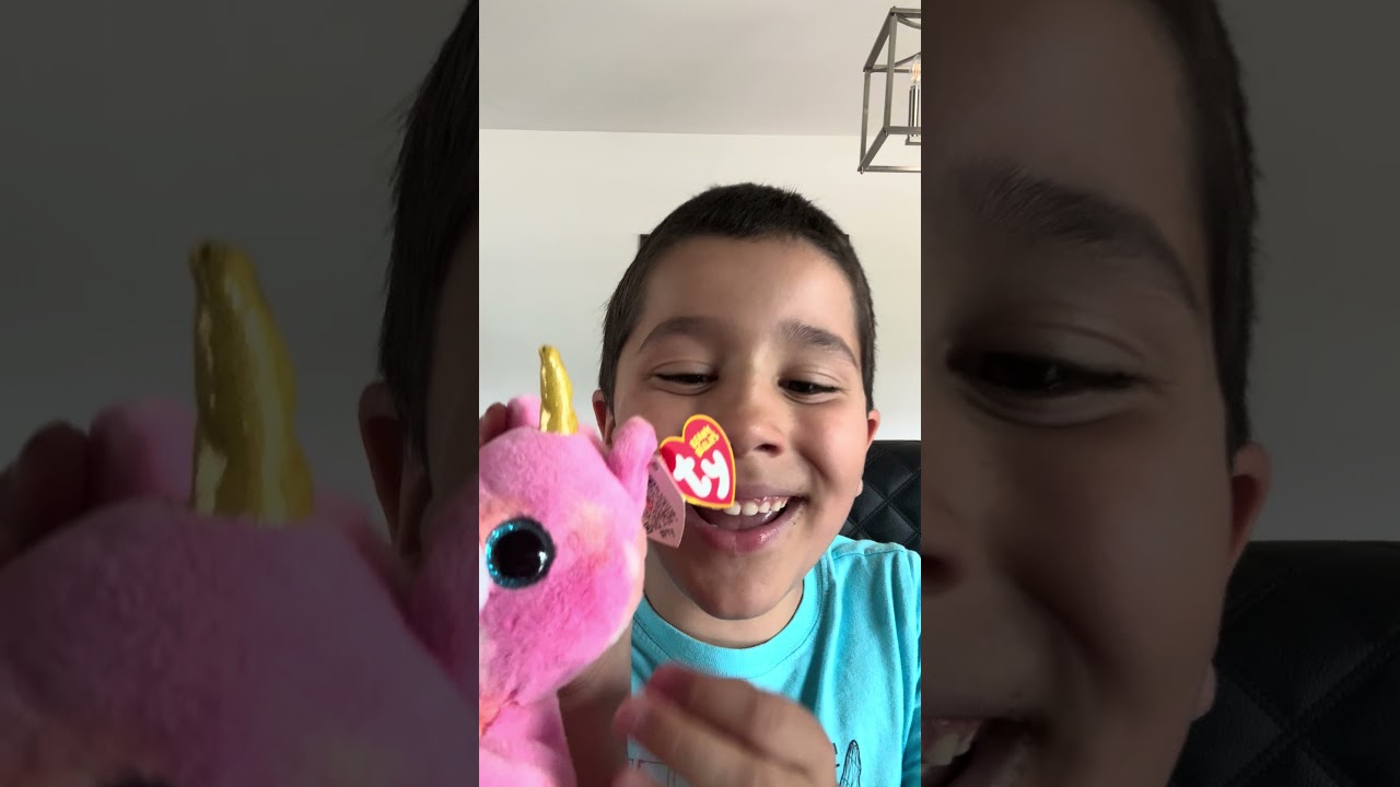 My Ty Beanie Bellies Collection meet Skylar - Episode 13