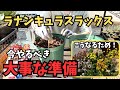 【ラナンキュラスラックス】満開の花を見るために今やるべきこと！育て方