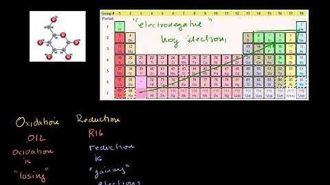Oxidation and Reduction Review From Biological Point of View