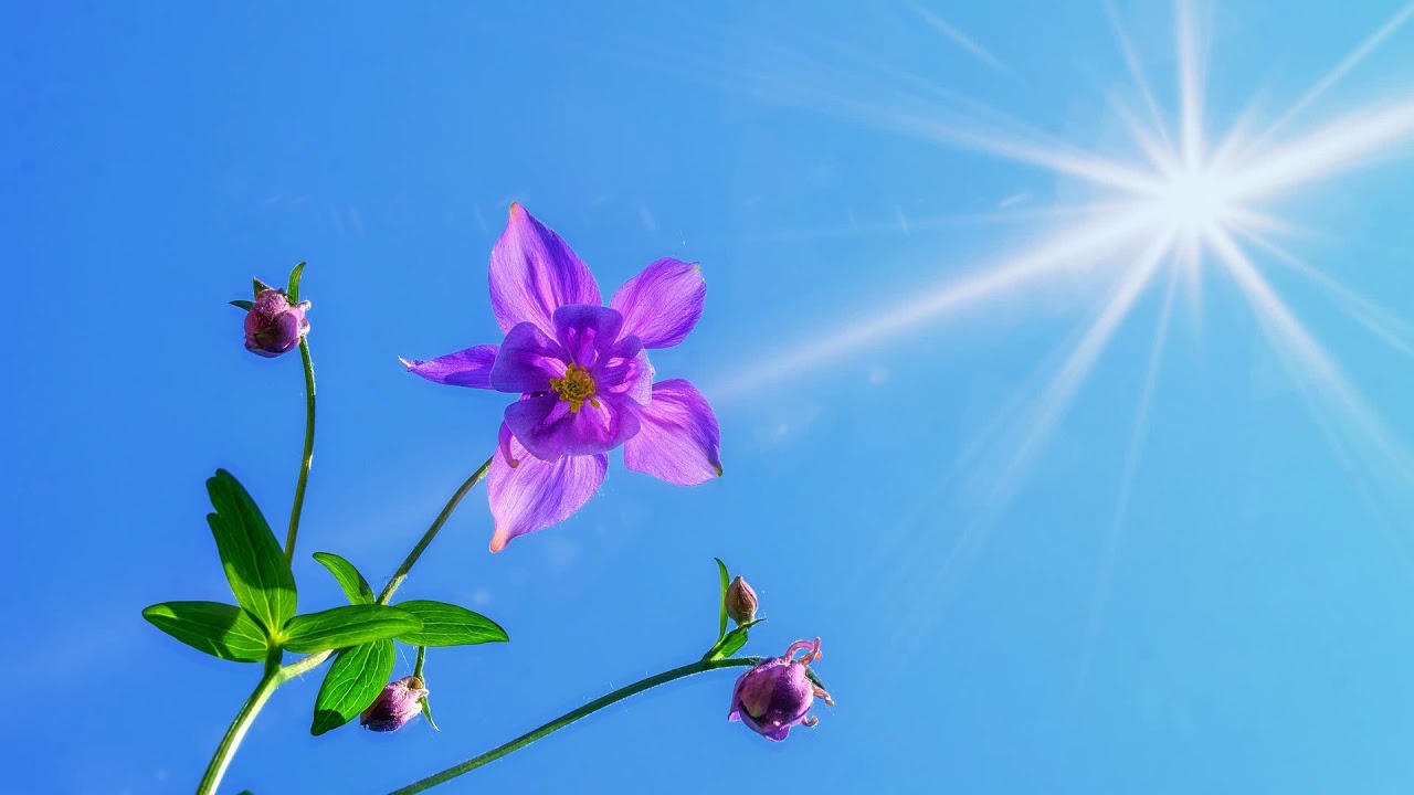 In Memory Of Michael Rehulka † ....Best Of (Melodic Progressive Mix)