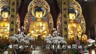 疫境禪修～祝願平安！