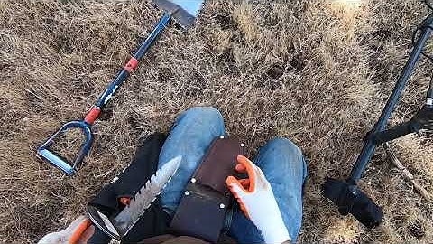 Nokta Simplex+ SP24 coil smacks big trunk handle at 1892 school.