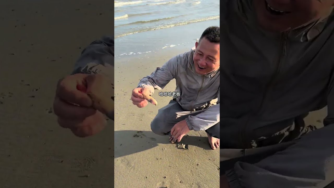 赶海大丰收，快乐溢出屏幕了 。本来我们只想去抽斑马皮皮虾的， 没想到这又晒又热的天气，沙滩上处处都是惊喜。贝壳静静的躺着等我们来捡，象拔蚌时不肘破土而出等着我们来拨#真实记录生活日常 #赶海