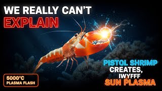 We Really Can't Explain How This Shrimp Creates PLASMA Hotter Than the Sun