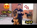 اشتريت كلب جديد لي بولا