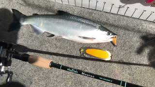 “MONTANA TACKLE KOKANEE”