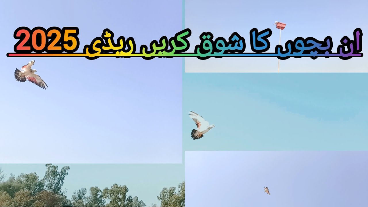 ریڈی بچے 2025 چک نمبر ustad Azhar nazz 285 - YouTube