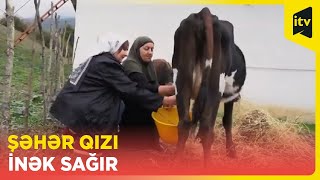 Barlı Bağ Lerikdə