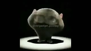 No es gracioso no me rei