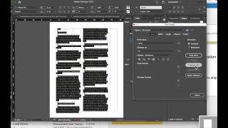 Indesign cleanup cont