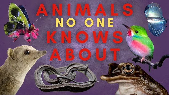 25 Animals You Haven't Heard Of...Maybe - Part Four