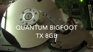 Quantum BigFoot TX 8GB running without cover