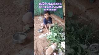 எதிர்பார்ப்பு இல்லாமல் வாழும் ஆண்மகன் #viral #trending #animals #vlog #motivation #sad #shorts #love