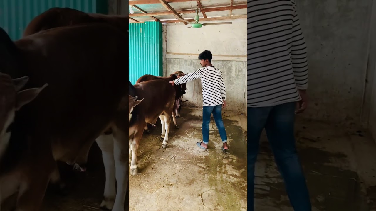 চুপ থাকুন 