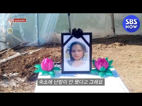 [궁금한 이야기 Y] 예고 &amp;#39;한파 속 <strong>비닐하우스에서</strong> 살던 이주노동자의 죽음&amp;#39; / &amp;#39;Y-Story&amp;#39; Preview | SBS NOW