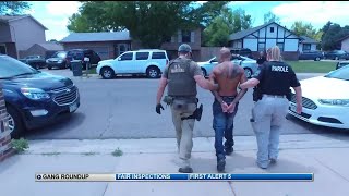 Famous 'Operation Triple Beam Colorado' takes 156 fugitive gang members off the streets Wealth