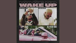 Wake Up (Clean) - Skylar Blatt & Chris Brown