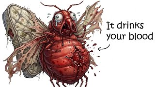 Why It Sucks To Be Born As a BedBug