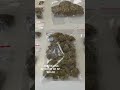 Polícia Faz Grande Apreensão De Drogas No Interior De São Paulo Polícia Faz Grande Apreensão De Drogas No Interior De São Paulo