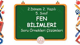5. Sınıf Fen Bilimleri 2. Dönem 2. Yazılı Soru Örnekleri Çözümleri 2024 - 2025