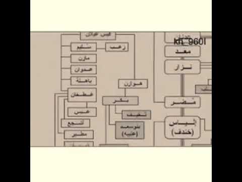 القبائل العدنانيه أصل العرب الكلعي