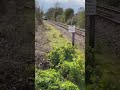 Southern train passing rye foot crossing in eastern Sussex sorry missed fake train horn