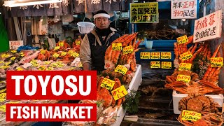 Exploring Toyosu—Tokyo's Revitalized Fish Market