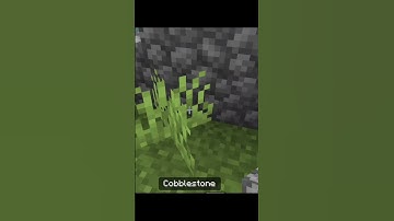 Minecraft build window shorts #minecraft #videos