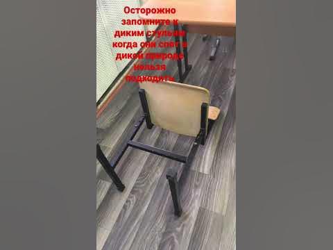 Мем #мем #мемы #стул - YouTube