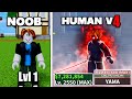 Noob to pro in blox fruits  obtain ttk and yama sword  lvl 1 to max lvl  full human v4 awakening