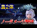 スターオーシャン6 神鳥ガルーダ2体戦 レティシア単騎 ノーダメージ撃破（アイテム、VATTING未使用）