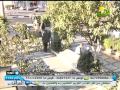 السهم قافلة مؤسسة الرحمة لاهل سوريا فى مصر 4 1 2013