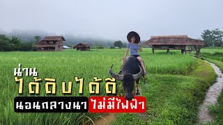 เที่ยวน่าน ที่ ได้ดิบได้ดี โฮมสเตย์กลางทุ่งนา ปัว dai dib dai dee | bowwy