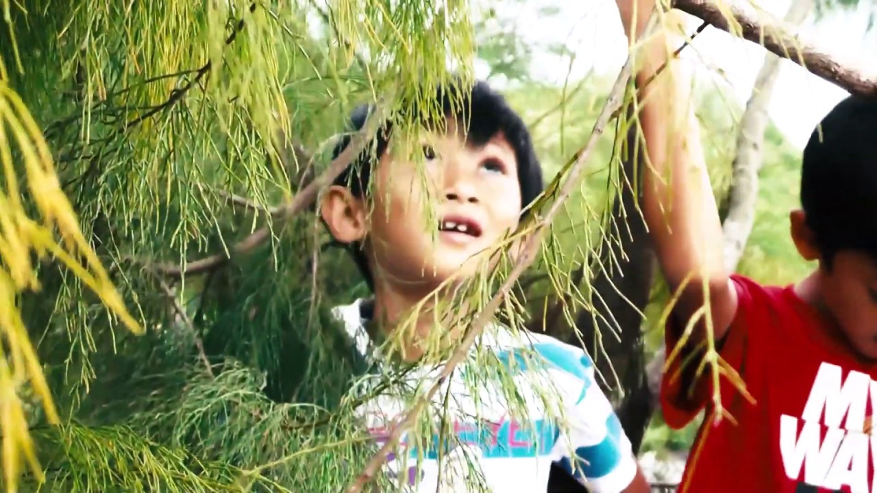 Panasonic MDH2 Cinematic Video