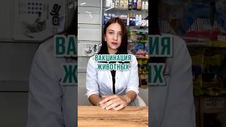 Вакцинация животных.       #калуга40 #ветеринарнаяклиникакалуга #калуга #калугаживотные #калуга24