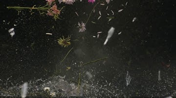 flower vase explosion