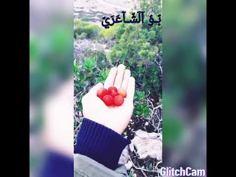 اجمل مناضر في الشرق الليبي مدينة درنه الاثرون