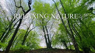 Relax Nature Meditation chill cozy Place