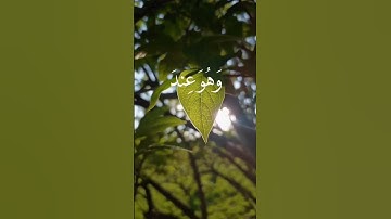 أرح سمعك 🥀القارئ: أحمد خضر 🍃حالات واتس آب https://t.me/halat1000