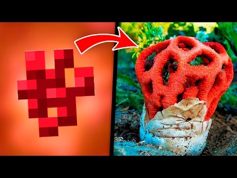 Видео: Minecraft дээр хайрцаг хийх