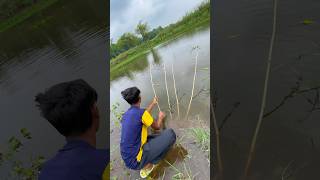 Amazing Hook Fish Hunting #hookfishing #fishtrap