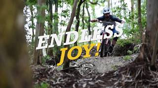 Dirtlej Mountee - Endless Joy