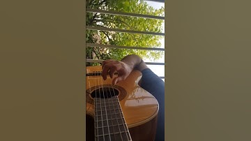 Eminem - mockingbird