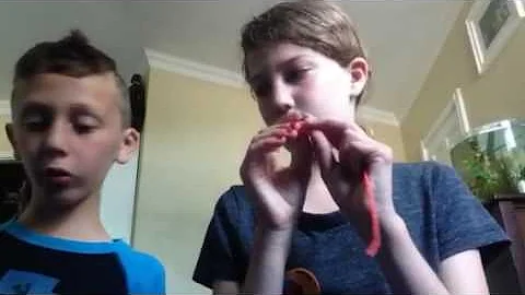 CRAZY WIKI STICK CHALLENGE!!!!