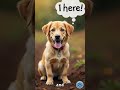 Dog Instincts Decoded: The Truth Behind Those Back-Leg Kicks