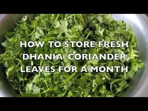 HOW TO STORE DHANIA OR CORIANDER LEAVES THAT REMAINS FRESH EVEN AFTER ONE MONTH GUARANTEED | Indian Mom