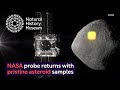 Asteroid Bennu and the Origins of Life