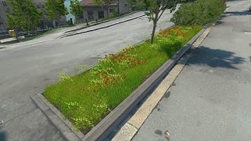 Beyond the Town Hall: 6 - Biodiversity