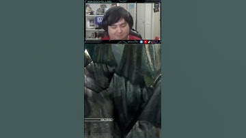 Crowd Control causes a dragon error in Skyrim