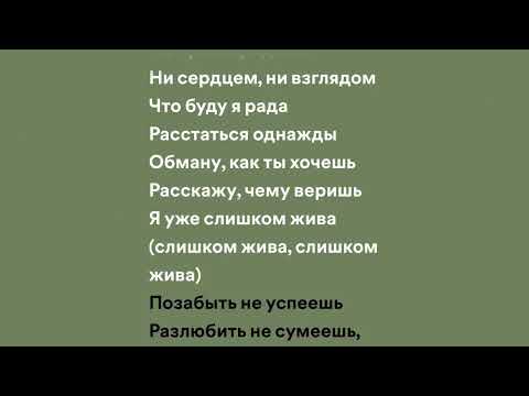 Моя Мишель -